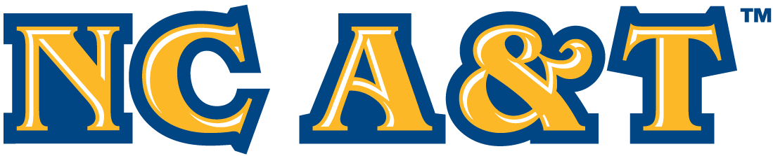 North Carolina A&T Aggies 2006-Pres Wordmark Logo v2 t shirts iron on transfers